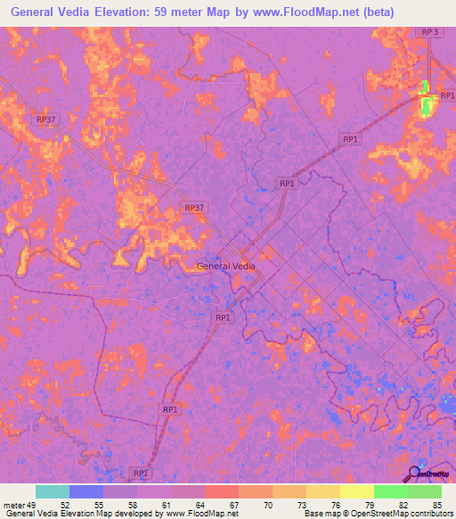 General Vedia,Argentina Elevation Map