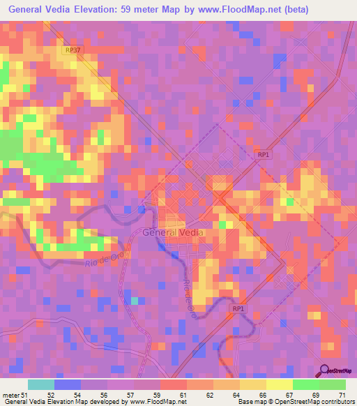 General Vedia,Argentina Elevation Map