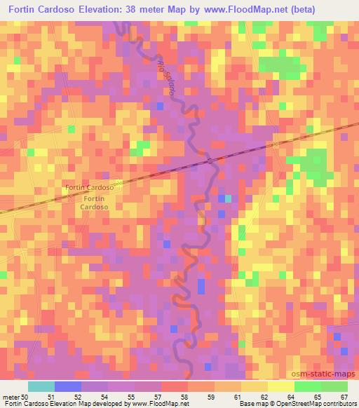 Fortin Cardoso,Argentina Elevation Map