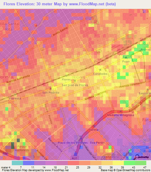Flores,Argentina Elevation Map