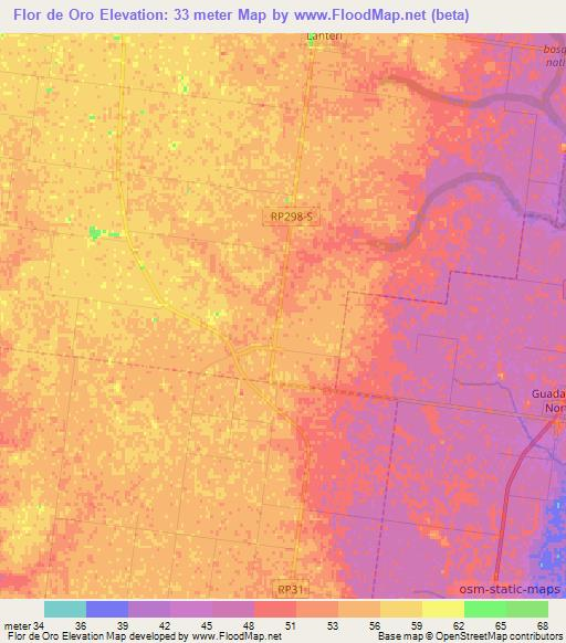 Flor de Oro,Argentina Elevation Map