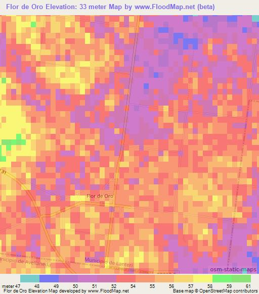 Flor de Oro,Argentina Elevation Map