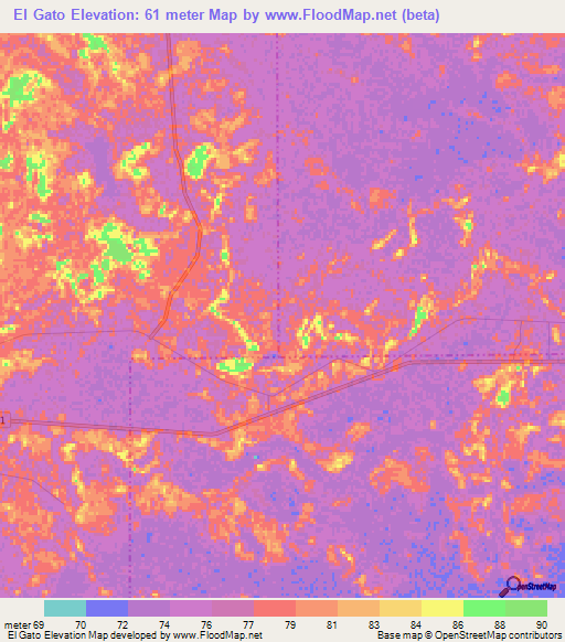 El Gato,Argentina Elevation Map