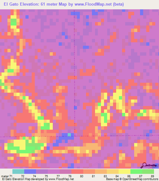 El Gato,Argentina Elevation Map