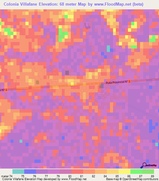 Colonia Villafane,Argentina Elevation Map