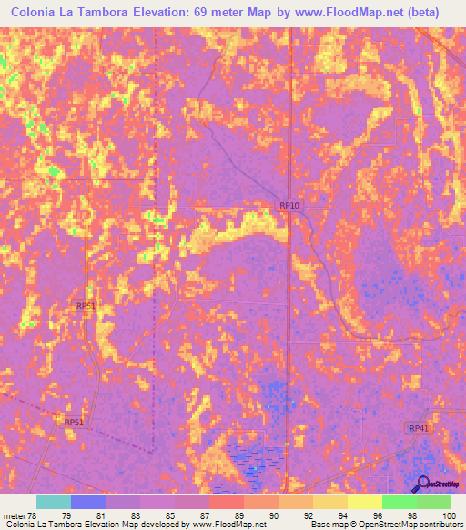 Colonia La Tambora,Argentina Elevation Map
