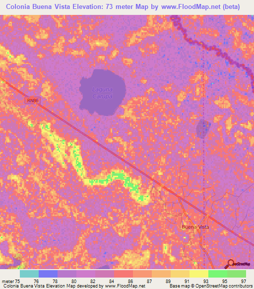 Colonia Buena Vista,Argentina Elevation Map