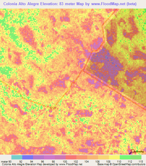 Colonia Alto Alegre,Argentina Elevation Map
