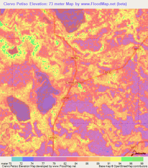 Ciervo Petiso,Argentina Elevation Map
