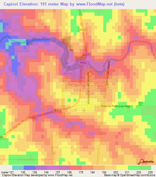 Capiovi,Argentina Elevation Map