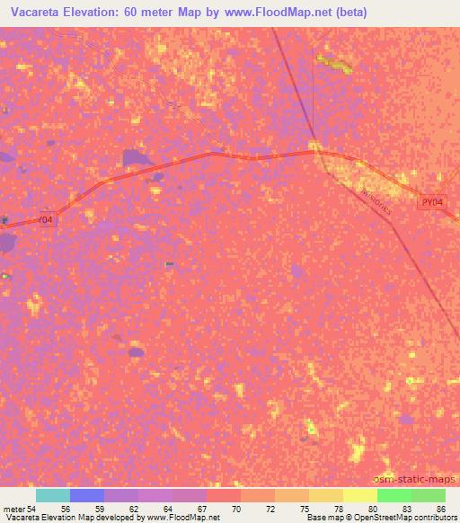 Vacareta,Paraguay Elevation Map