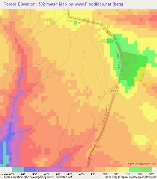Torora,Paraguay Elevation Map