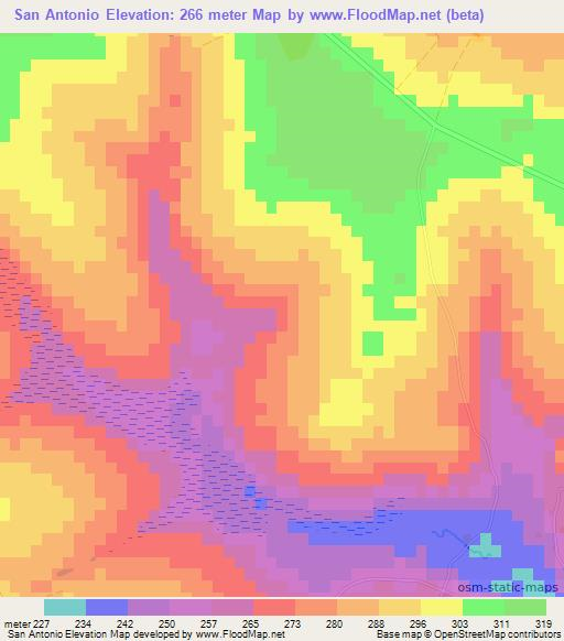 San Antonio,Paraguay Elevation Map