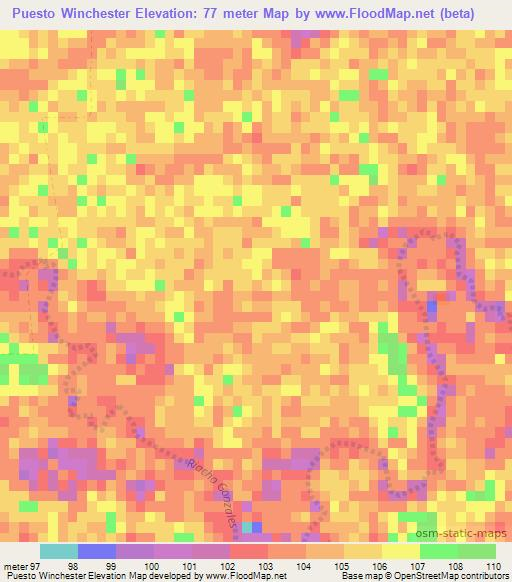 Puesto Winchester,Paraguay Elevation Map