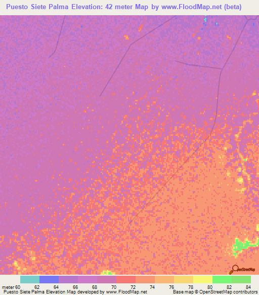 Puesto Siete Palma,Paraguay Elevation Map