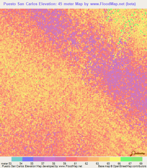 Puesto San Carlos,Paraguay Elevation Map