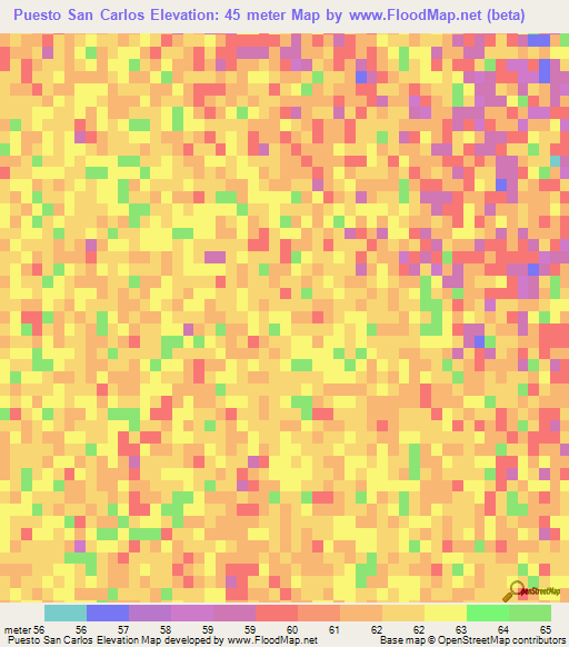 Puesto San Carlos,Paraguay Elevation Map