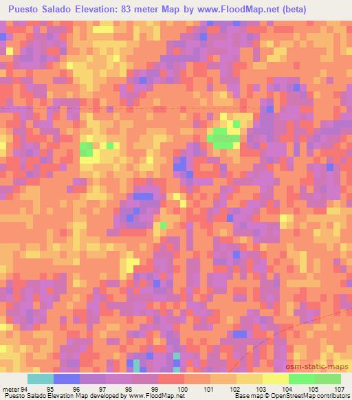 Puesto Salado,Paraguay Elevation Map