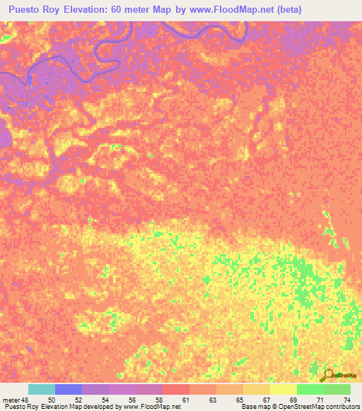 Puesto Roy,Paraguay Elevation Map