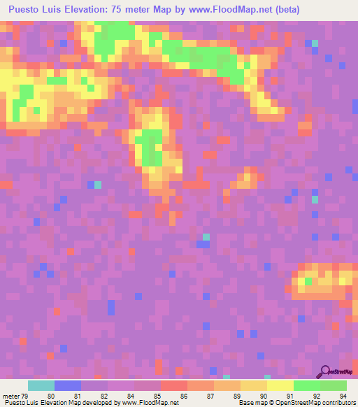 Puesto Luis,Paraguay Elevation Map
