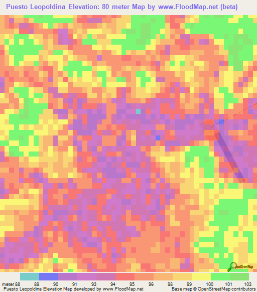 Puesto Leopoldina,Paraguay Elevation Map