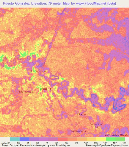 Puesto Gonzalez,Paraguay Elevation Map