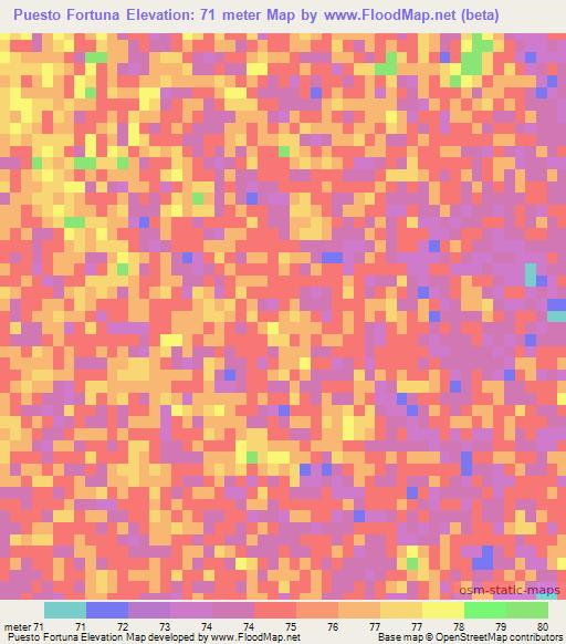 Puesto Fortuna,Paraguay Elevation Map