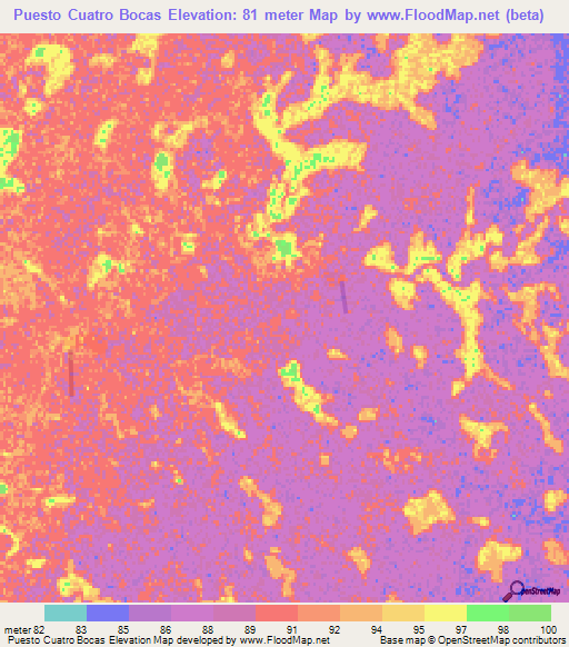 Puesto Cuatro Bocas,Paraguay Elevation Map