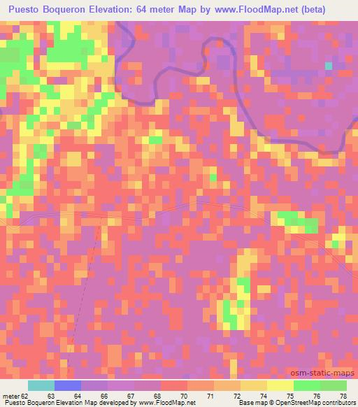 Puesto Boqueron,Paraguay Elevation Map