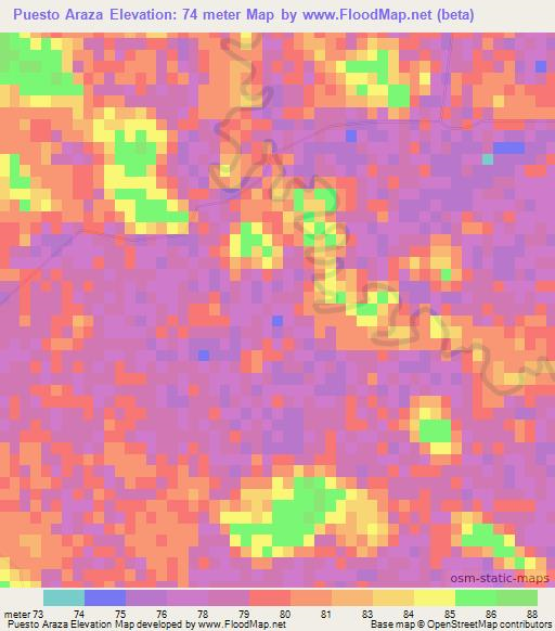 Puesto Araza,Paraguay Elevation Map