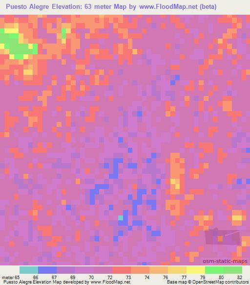 Puesto Alegre,Paraguay Elevation Map