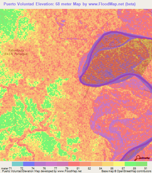Puerto Voluntad,Paraguay Elevation Map