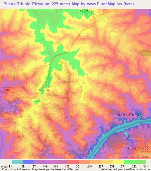 Puerto Triunfo,Paraguay Elevation Map