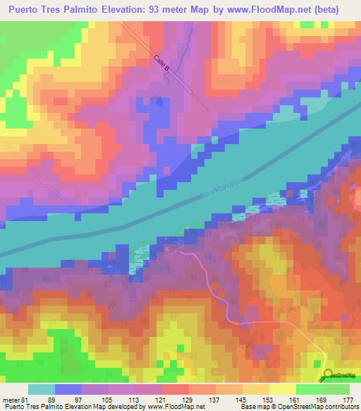 Puerto Tres Palmito,Paraguay Elevation Map