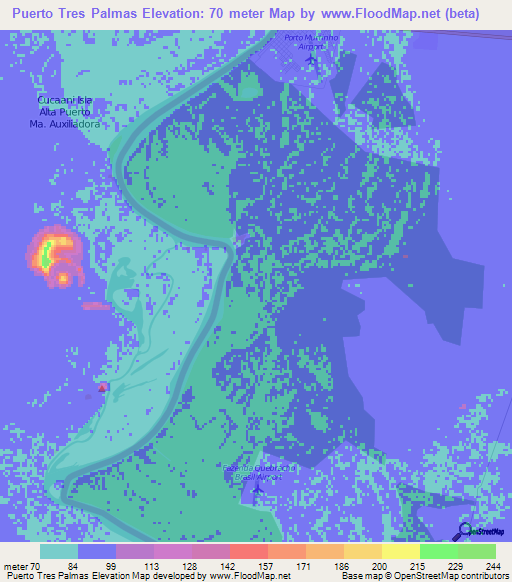 Puerto Tres Palmas,Paraguay Elevation Map