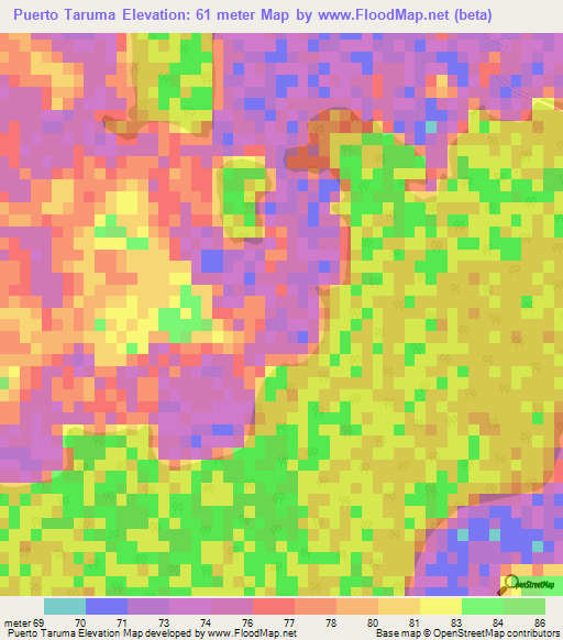 Puerto Taruma,Paraguay Elevation Map