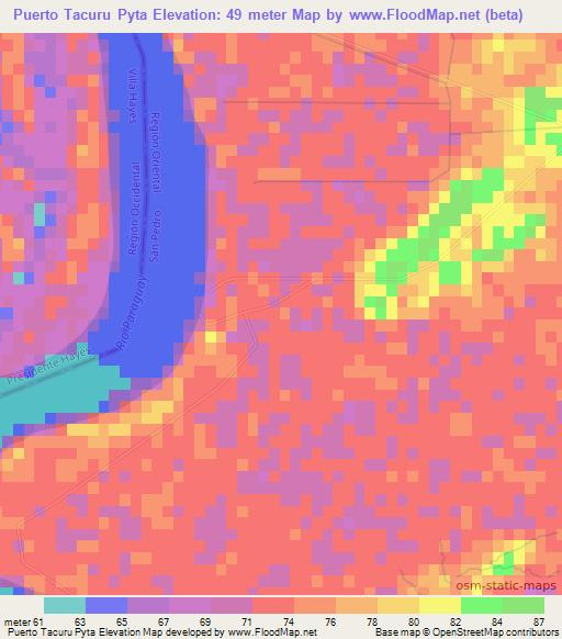 Puerto Tacuru Pyta,Paraguay Elevation Map