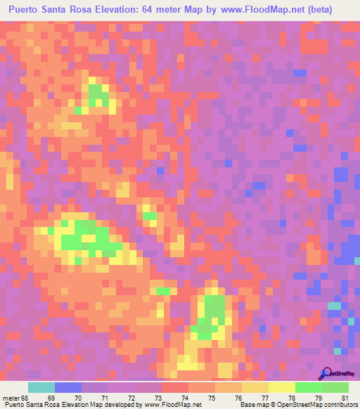 Puerto Santa Rosa,Paraguay Elevation Map