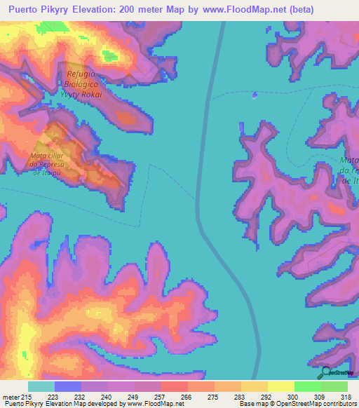 Puerto Pikyry,Paraguay Elevation Map