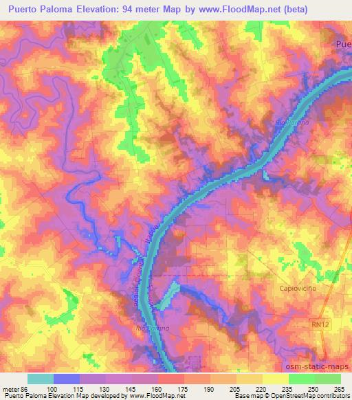 Puerto Paloma,Paraguay Elevation Map