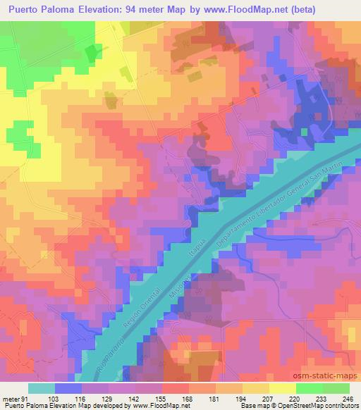 Puerto Paloma,Paraguay Elevation Map