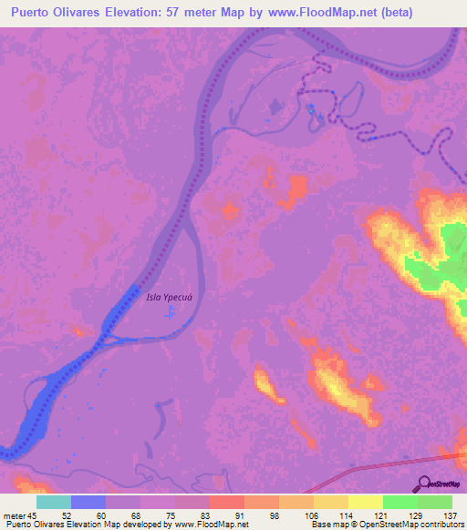 Puerto Olivares,Paraguay Elevation Map
