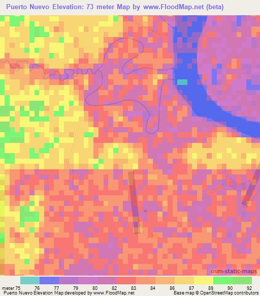 Puerto Nuevo,Paraguay Elevation Map