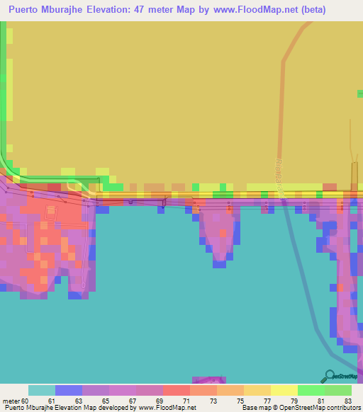 Puerto Mburajhe,Paraguay Elevation Map