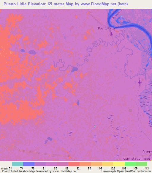 Puerto Lidia,Paraguay Elevation Map