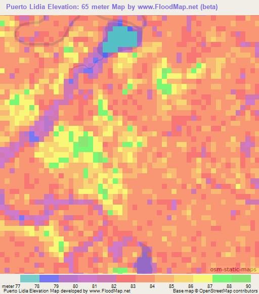 Puerto Lidia,Paraguay Elevation Map