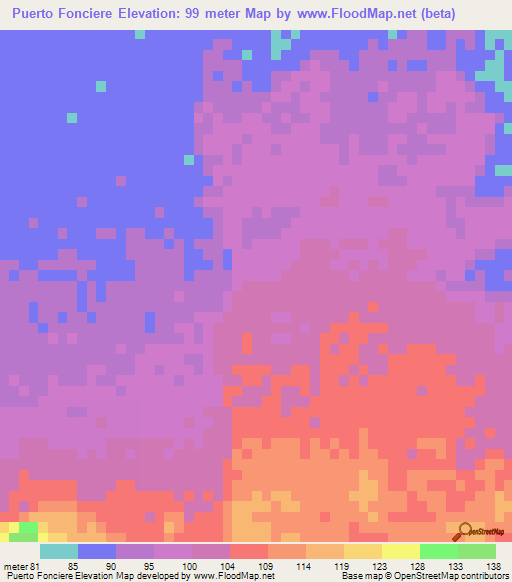 Puerto Fonciere,Paraguay Elevation Map