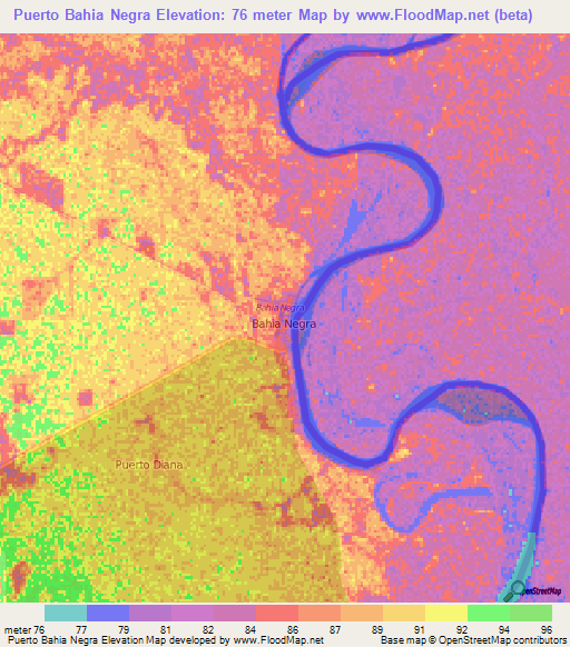 Puerto Bahia Negra,Paraguay Elevation Map
