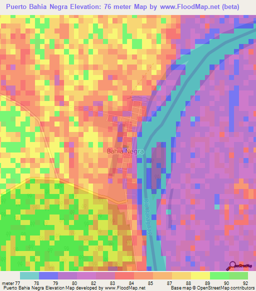 Puerto Bahia Negra,Paraguay Elevation Map