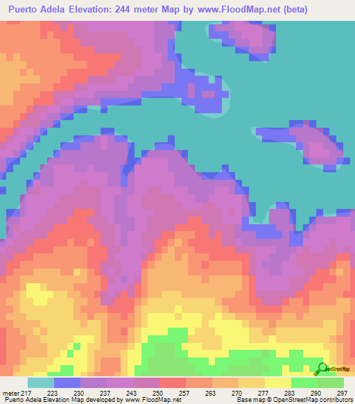 Puerto Adela,Paraguay Elevation Map